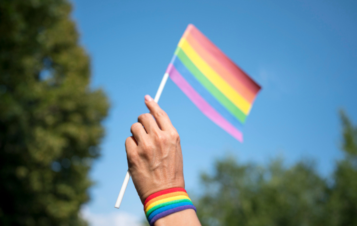 El Consejo de Europa insta a Lituania a incrementar su fomento de la igualdad LGTBI 